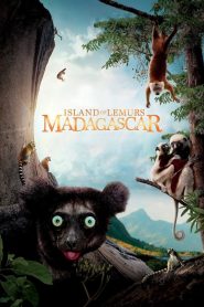 L’île des lémuriens : Madagascar